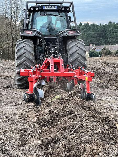 Travaux de reboisement Maine-et-Loire