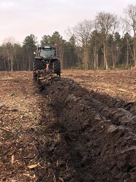 Travaux de reboisement Maine-et-Loire
