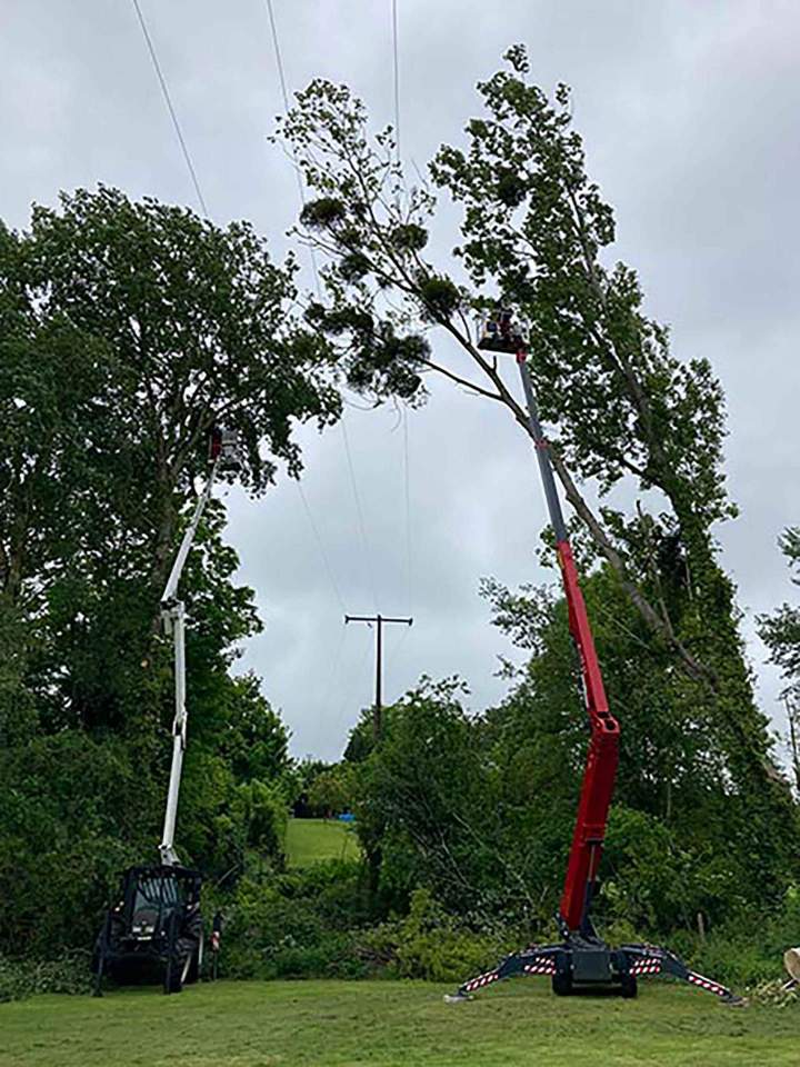 Nous préservons la beauté et la sécurité de vos espaces verts.