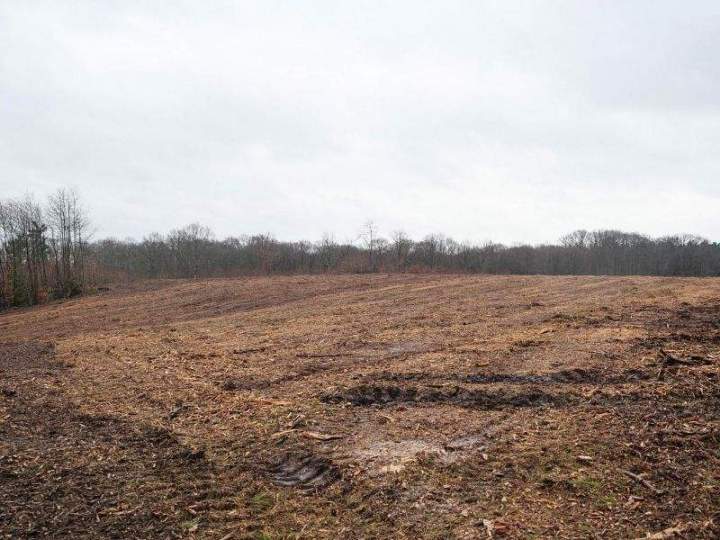 Travaux forestiers Maine-et-Loire