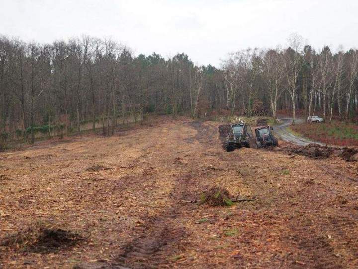 Travaux forestiers Maine-et-Loire