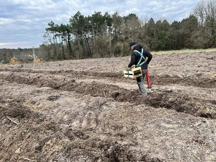 Travaux de reboisement Maine-et-Loire