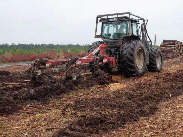 Plantations forestières Maine-et-Loire