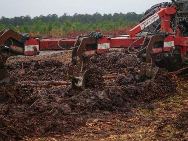Plantations forestières Maine-et-Loire