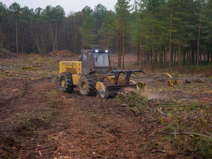 Broyage forestier Maine-et-Loire