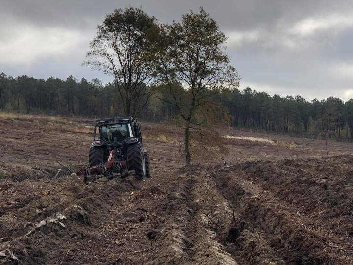  Entreprise de travaux forestiers 