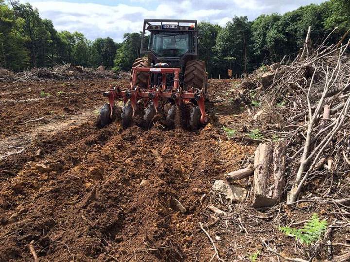 Plantations forestières Maine-et-Loire
