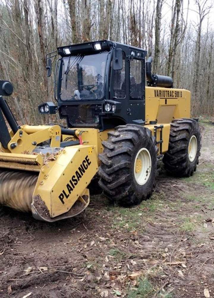 Abattage Maine-et-Loire