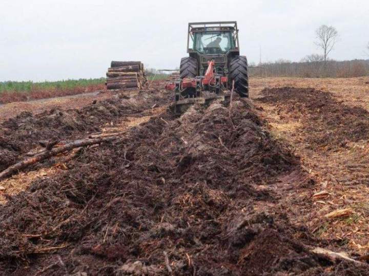 Plantations forestières Maine-et-Loire
