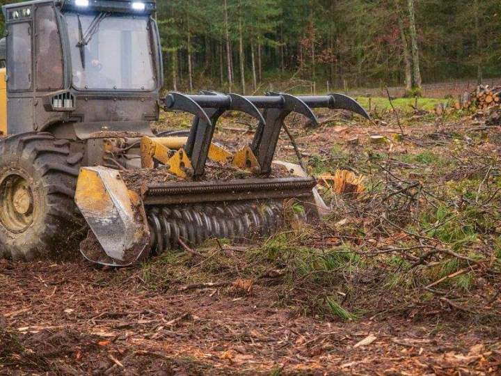 Broyage forestier Maine-et-Loire