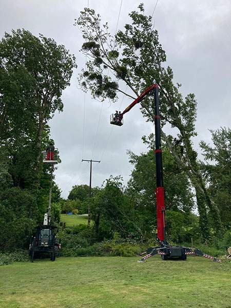 Élagage d’arbres Maine-et-Loire