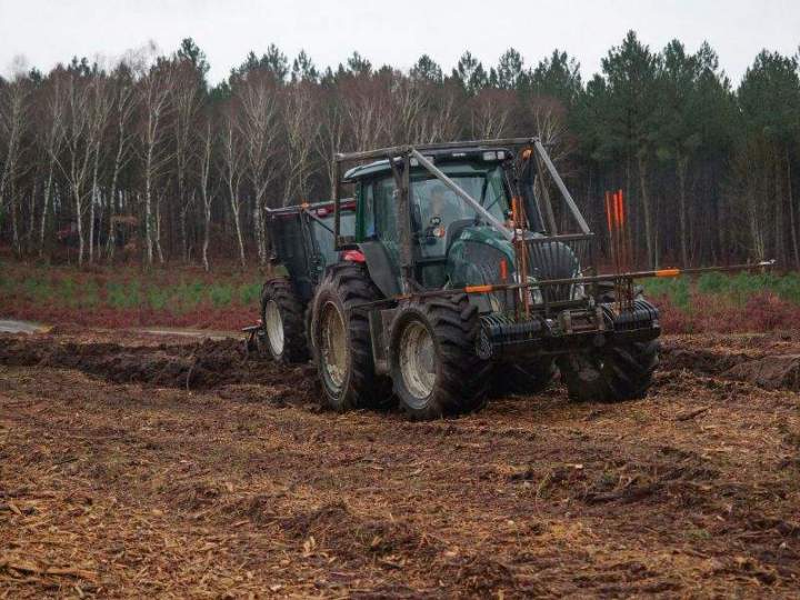 Travaux de reboisement Maine-et-Loire