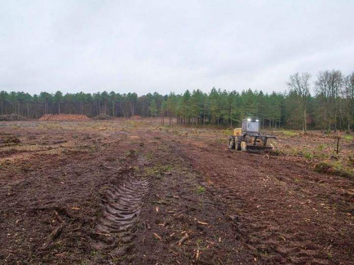 Travaux de reboisement Maine-et-Loire