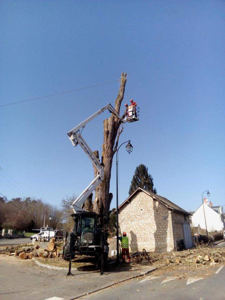 Entreprise de travaux forestiers, Tours